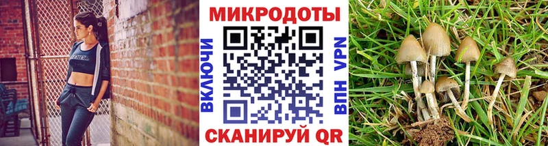 цены наркотик  Цимлянск  Галлюциногенные грибы мухоморы 