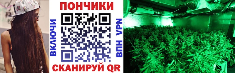 ОМГ ОМГ   Цимлянск  Бошки Шишки марихуана  цены  